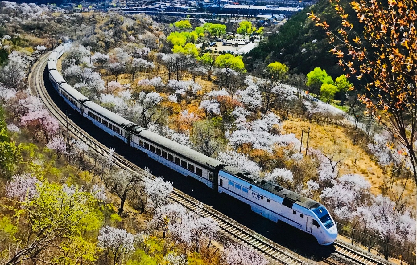 可惜不是你，感谢那是你